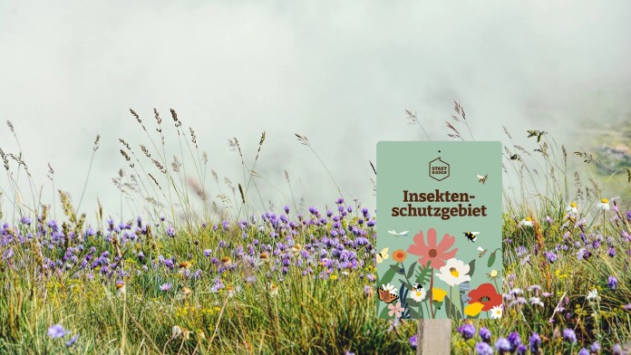 Wildblumenwiese auf der ein Schild mit der Aufschrift Insektenschutzgebiet der Stadtbienen steht