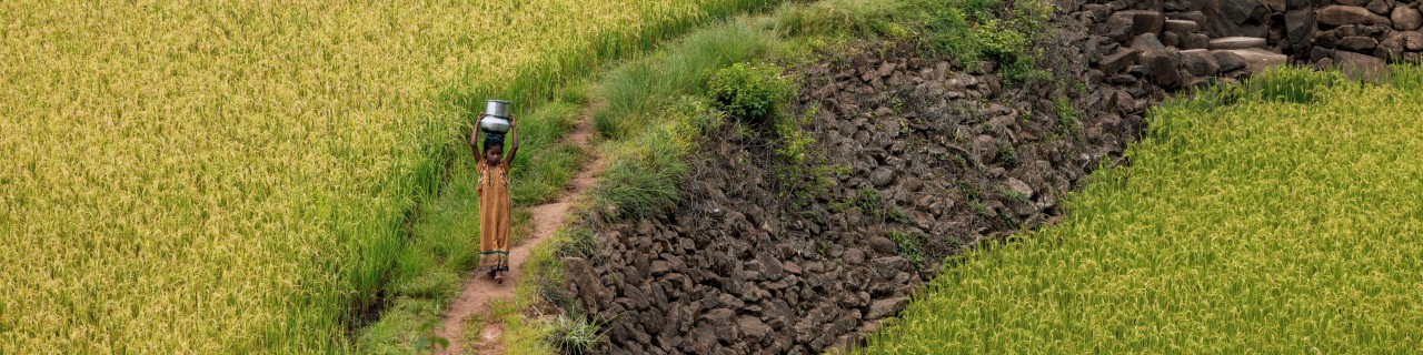 A child carries a jug on his head and walks through terraced fields in India. 