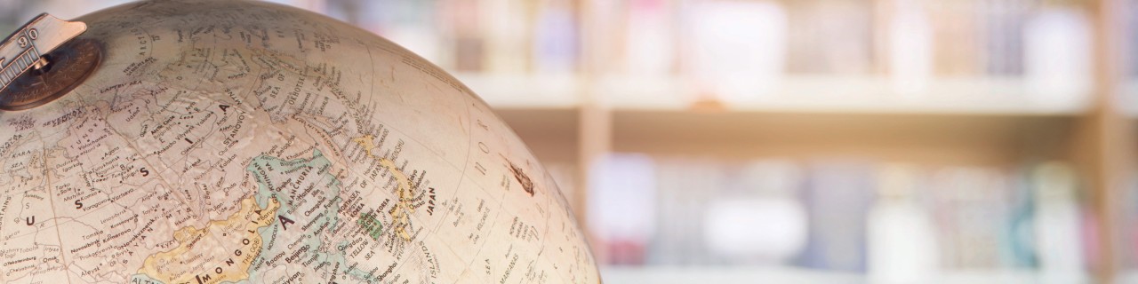 Globe in front of a bookshelf