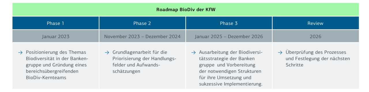 Zeitlicher Ablauf der Roadmap Biodiv, Erklkärung folgt unten