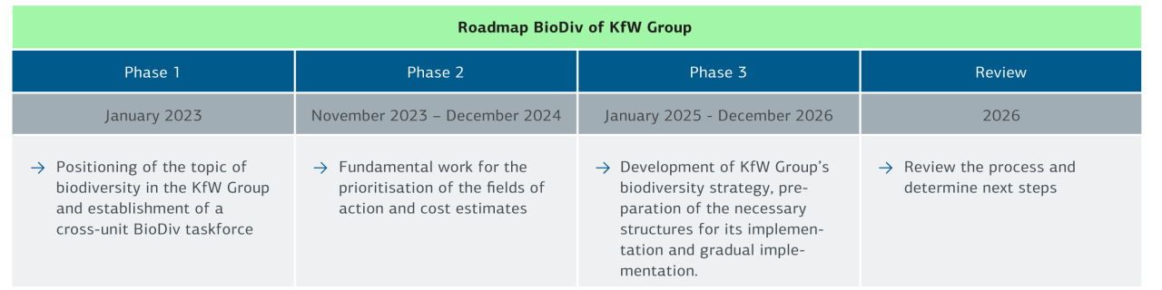 Time schedule Roadmap Biodiv, Explanation follows below