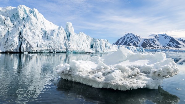 Icebergs in the arctic